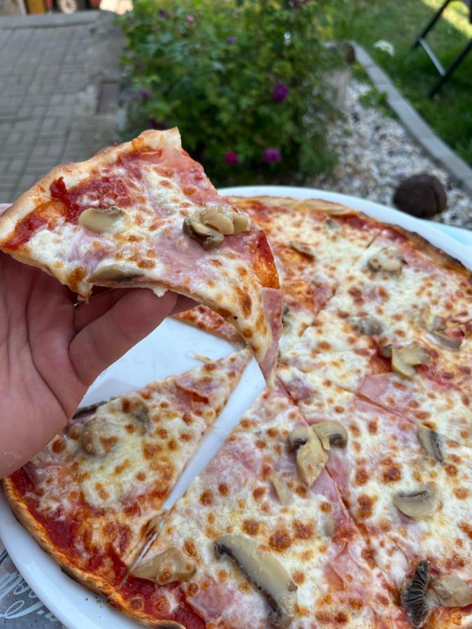 H@M Penzion Žlutice Eksteriør billede